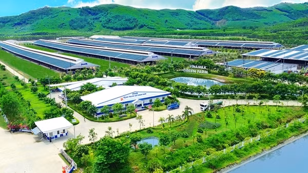 Vinamilk và hành trình nâng tầm vị thế doanh nghiệp việt trên bản đồ ngành sữa thế giới