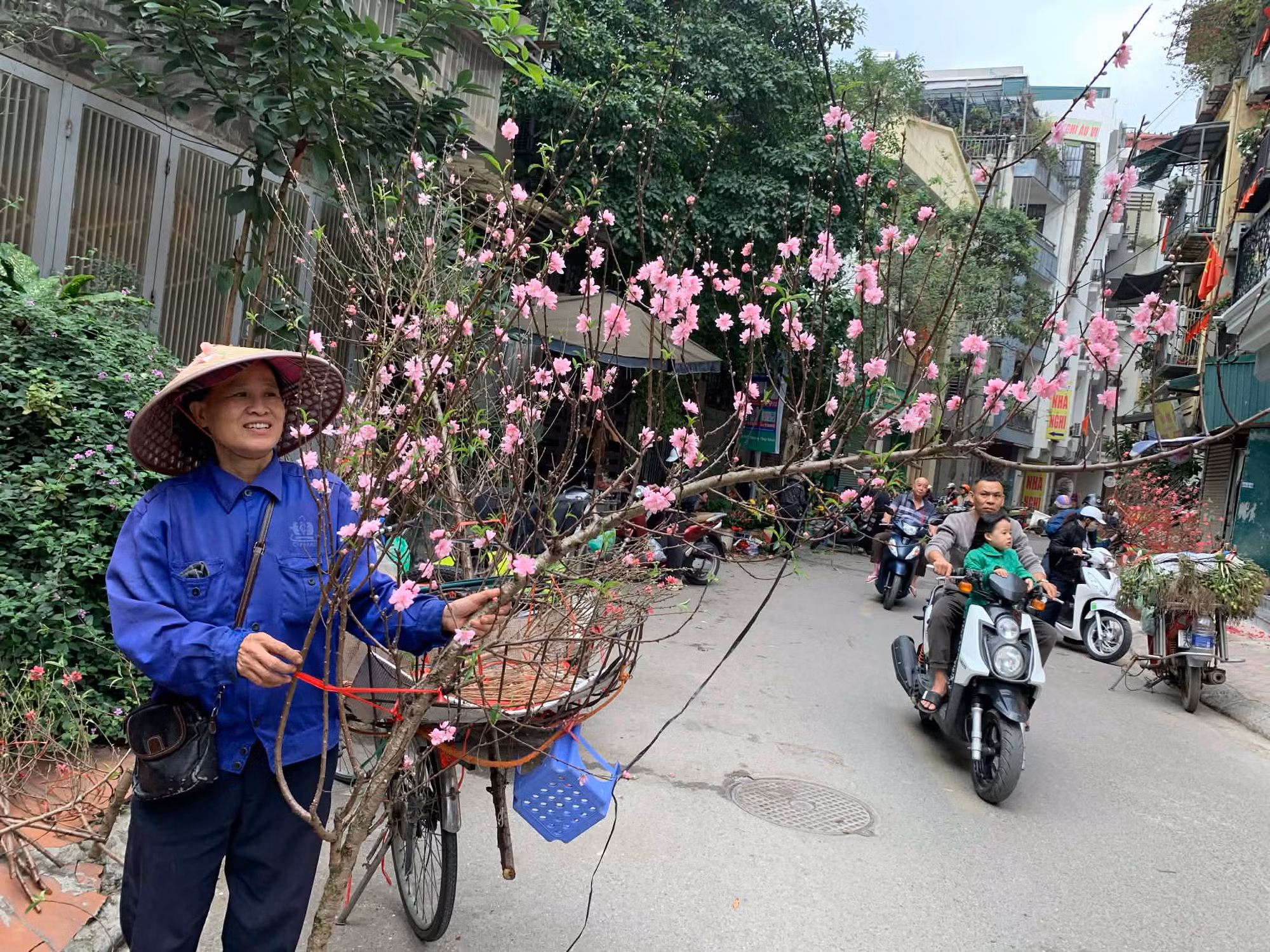 Thị trường cây cảnh giảm giá để hút khách -0