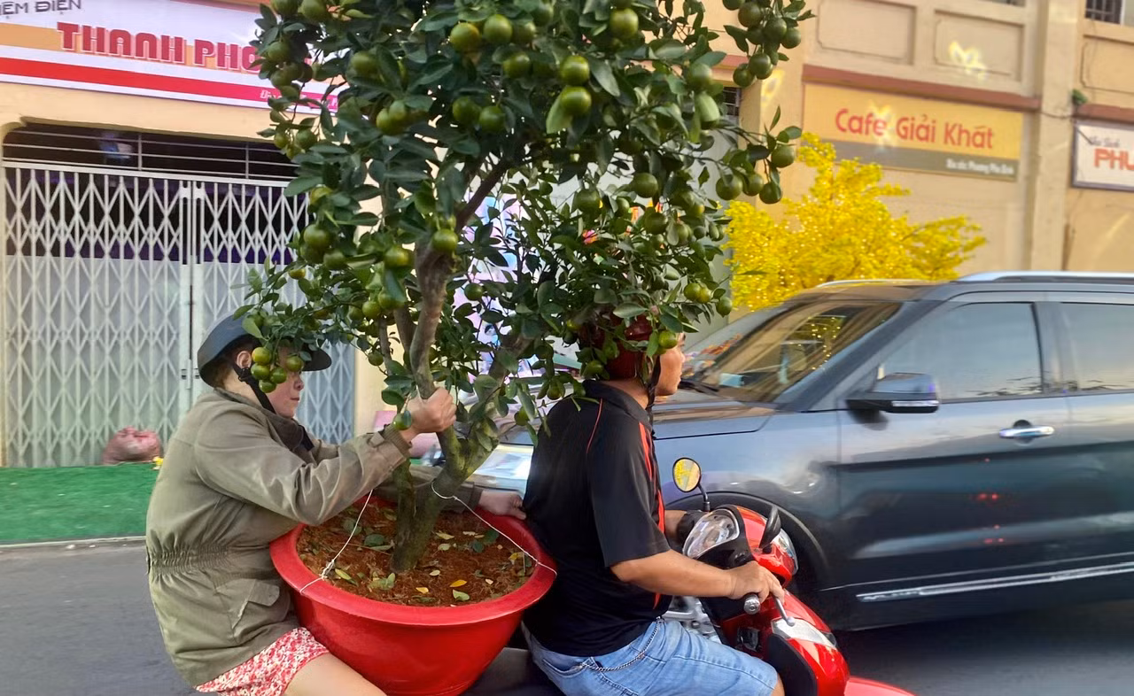 Chiều tối 28 tháng Chạp: Người dân TP Hồ Chí Minh tất bật mang Xuân về nhà -6