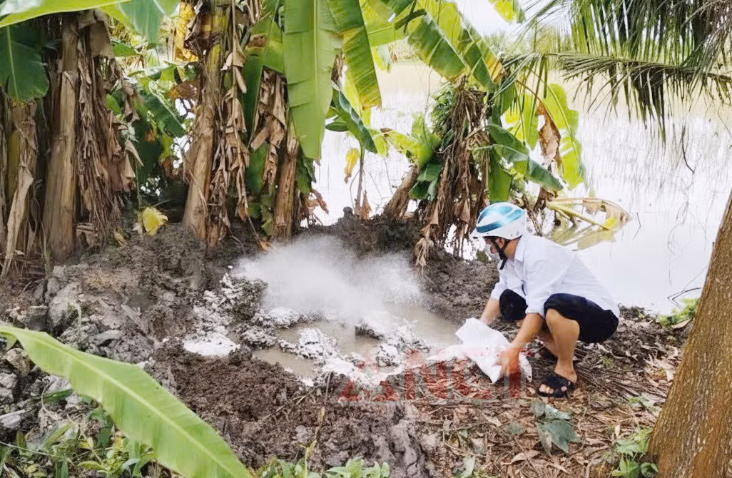 Phát hiện vụ giết mổ, mua bán thịt nhiễm dịch tả lợn châu Phi -0
