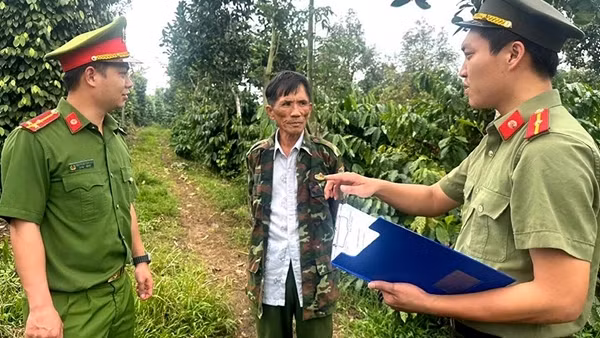 Bình yên cho mùa cà phê mới