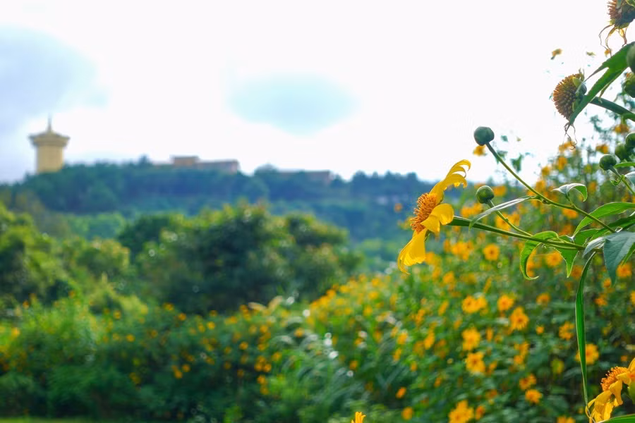 Thời gian, tâm hồn lắng đọng ở Samten Hills Dalat -0