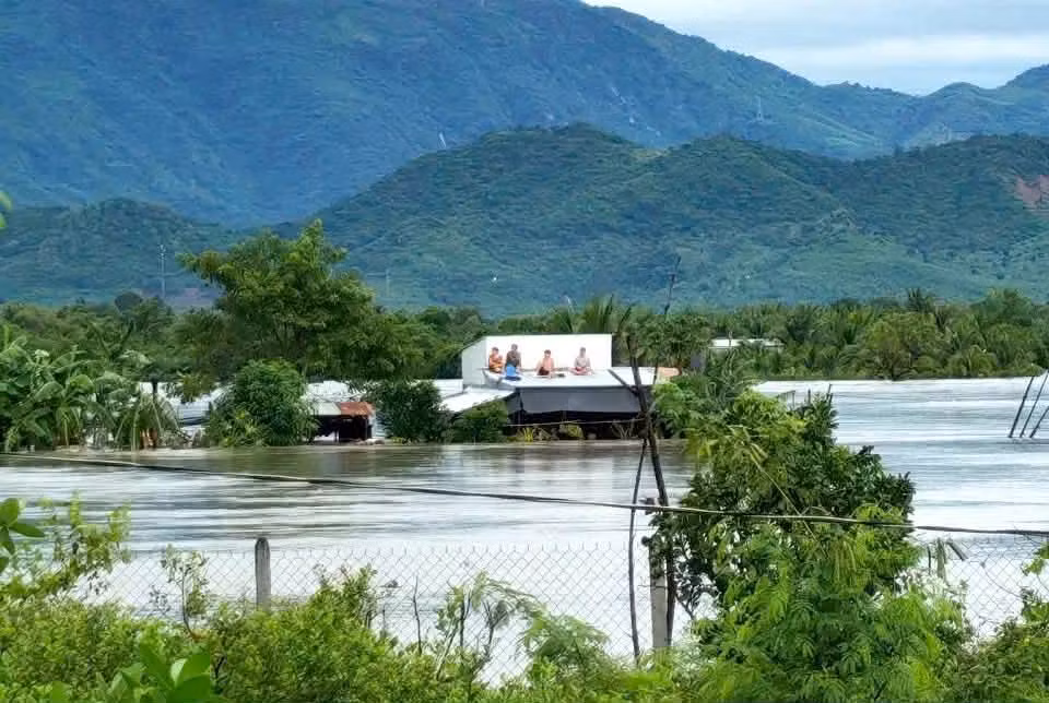 Sông Dinh Phan Rang có nguy cơ tràn bờ, gây lũ lớn -0