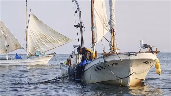 Căng thẳng ngoại giao leo thang, Trung Quốc ngừng nhập khẩu thuỷ sản Nhật Bản