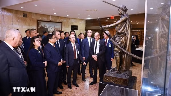 Phát huy tình đoàn kết Việt Nam-Algeria trong thời kỳ mới