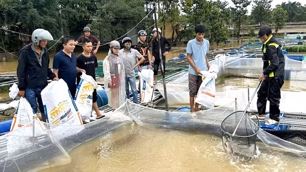 Huế khẩn trương khôi phục sản xuất, ổn định đời sống người dân sau bão lũ