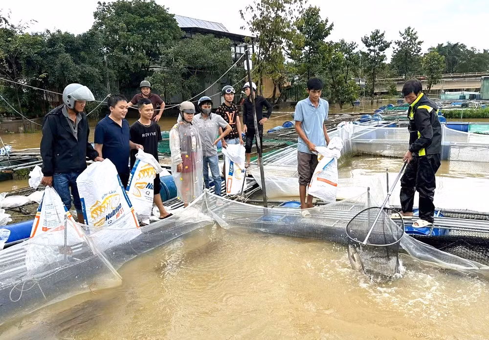 Huế khẩn trương khôi phục sản xuất, ổn định đời sống người dân sau bão lũ -0