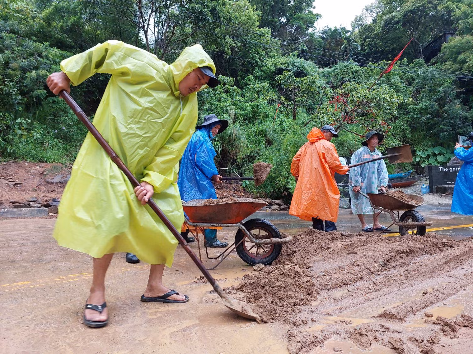 Đà Nẵng: Tạm dừng tham quan báo đảo Sơn Trà do mưa lớn gây sạt lở nghiêm trọng -0