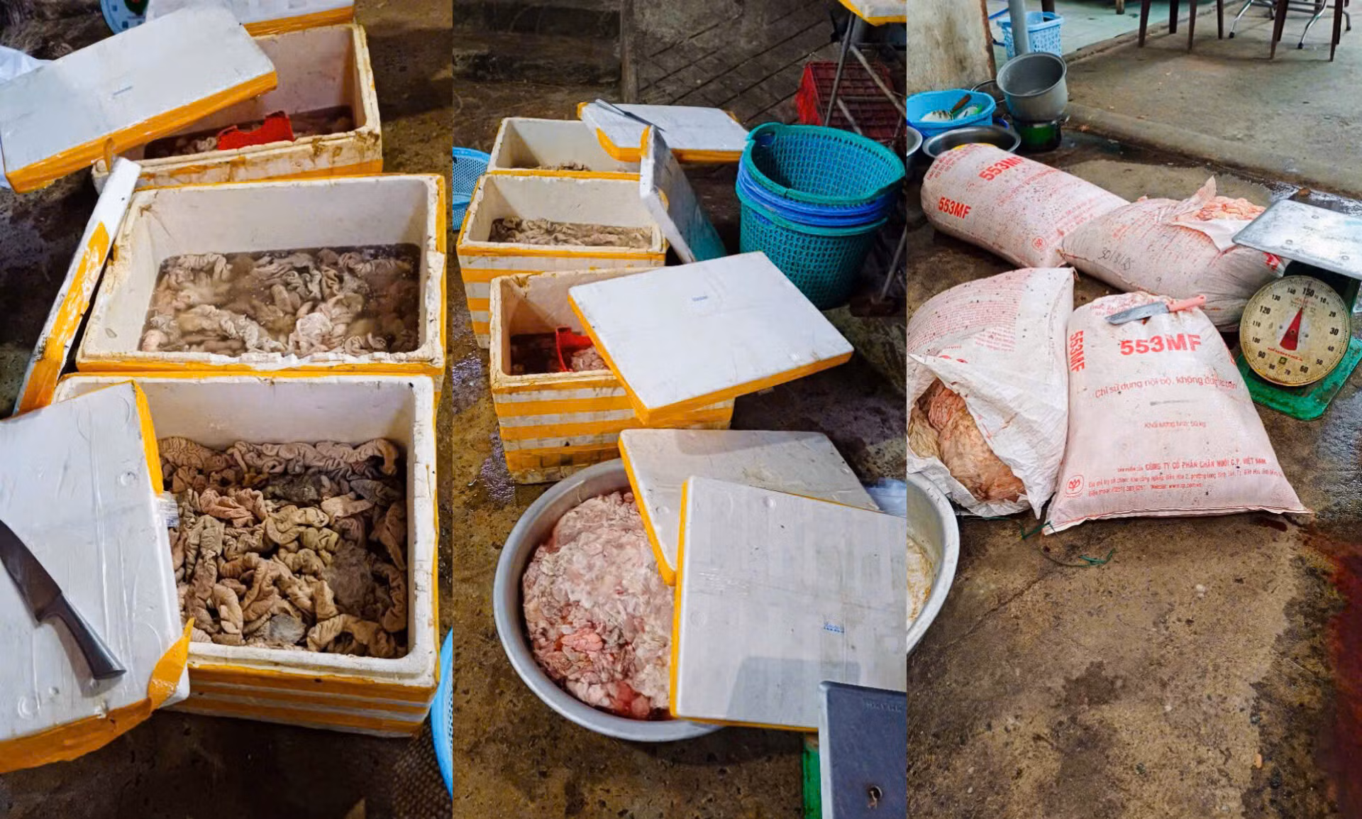 Đà Nẵng: Kiểm tra môi trường 