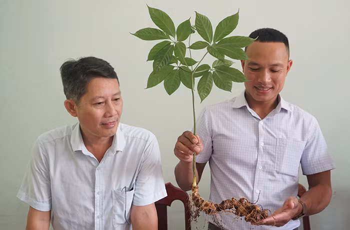 Chuyện những người soi… sâm! -0