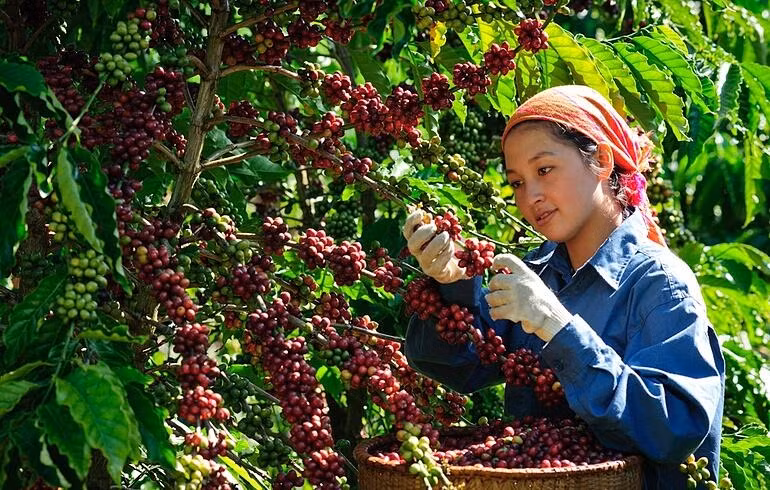 Doanh nghiệp tăng tốc đầu tư xanh để giảm phát thải -0