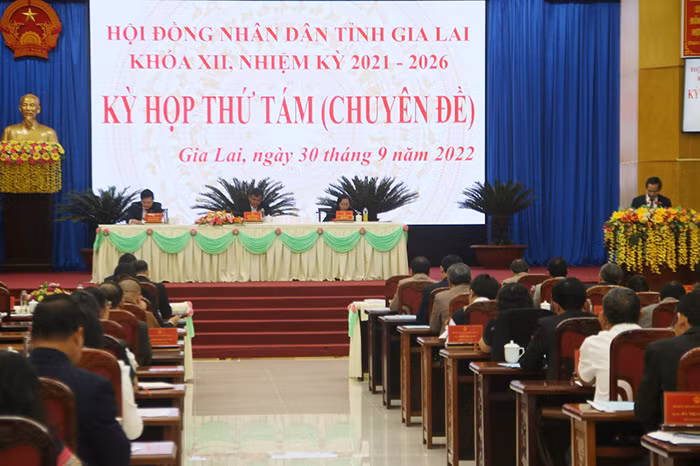 Ông Võ Ngọc Thành thôi làm đại biểu HĐND tỉnh Gia Lai -0
