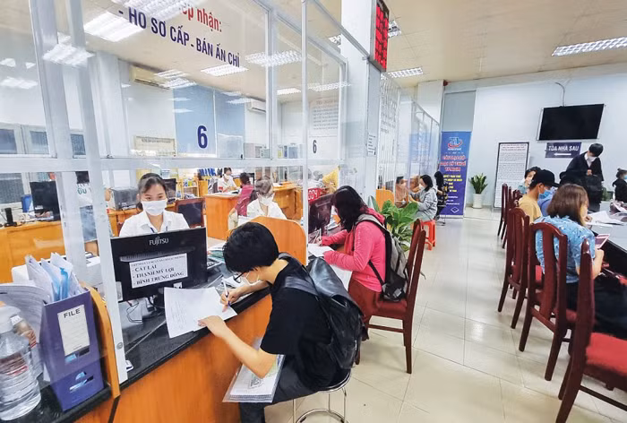 Kiểm soát hàng hóa để xuất khẩu vào thị trường khó tính -0