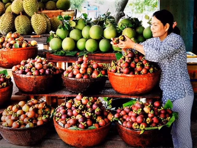 3-quầy vú sữa chợ lái thiêu.jpg -0