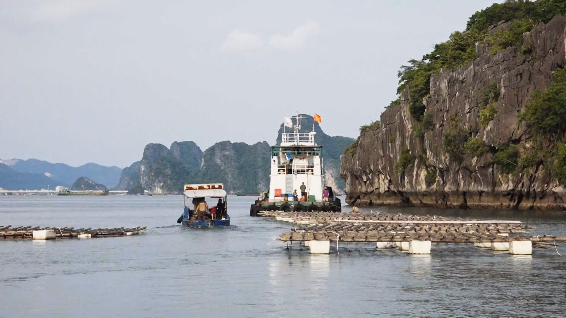 Khai trừ Đảng 4 cán bộ, nhân viên nhận hối lộ -0