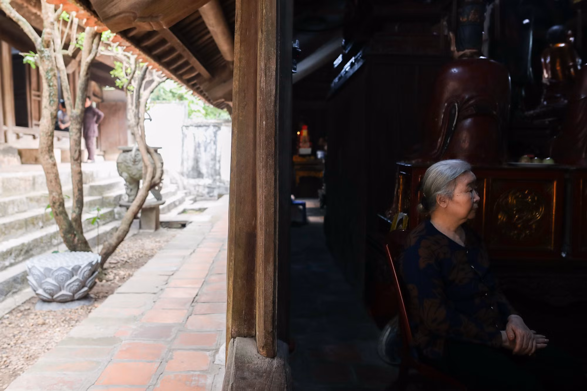 Hoa gạo đỏ rực góc sân chùa Thầy -0