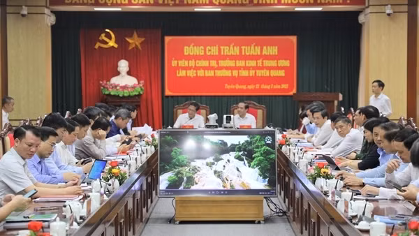 Giải pháp đột phá đưa Tuyên Quang trở thành trung tâm chế biến gỗ