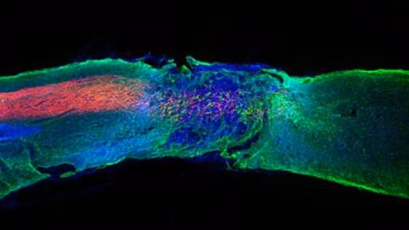Công nghệ nano đang thay đổi thế giới -0