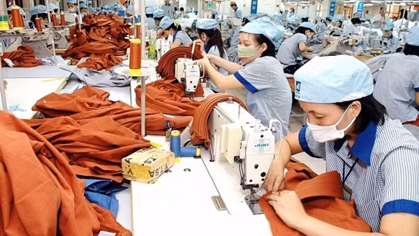 Đẩy mạnh sàn giao dịch việc làm trực tuyến, kết nối cung - cầu lao động