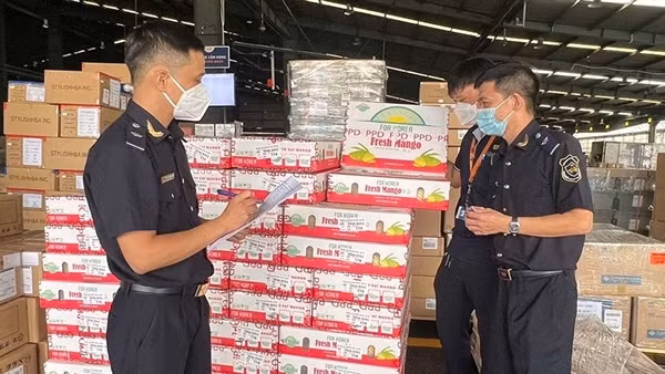 Hoãn xuất cảnh hai giám đốc doanh nghiệp nợ thuế gần 17 tỷ đồng