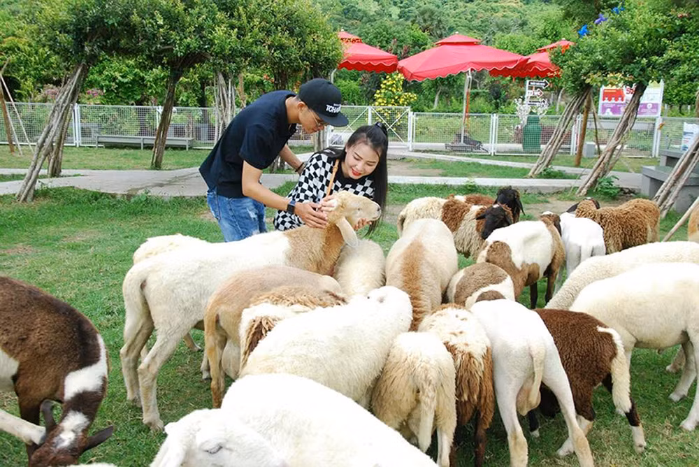 Doanh nghiệp Việt Nam nỗ lực hướng tới tăng trưởng xanh và chuyển đổi số -0