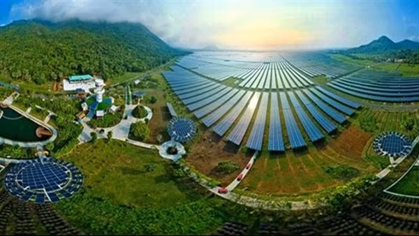 Doanh nghiệp Việt Nam nỗ lực hướng tới tăng trưởng xanh và chuyển đổi số