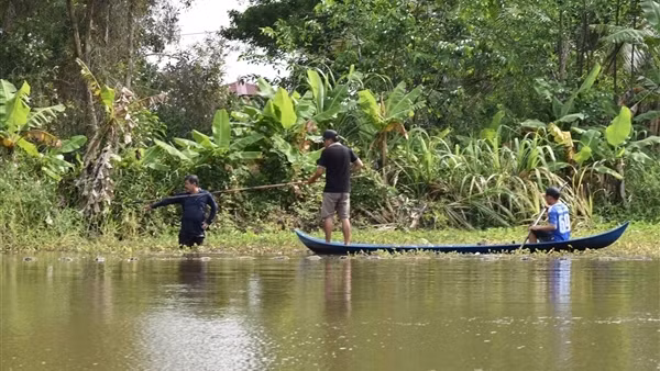 Vây bắt cá sấu lạc vào ao cá nhà dân