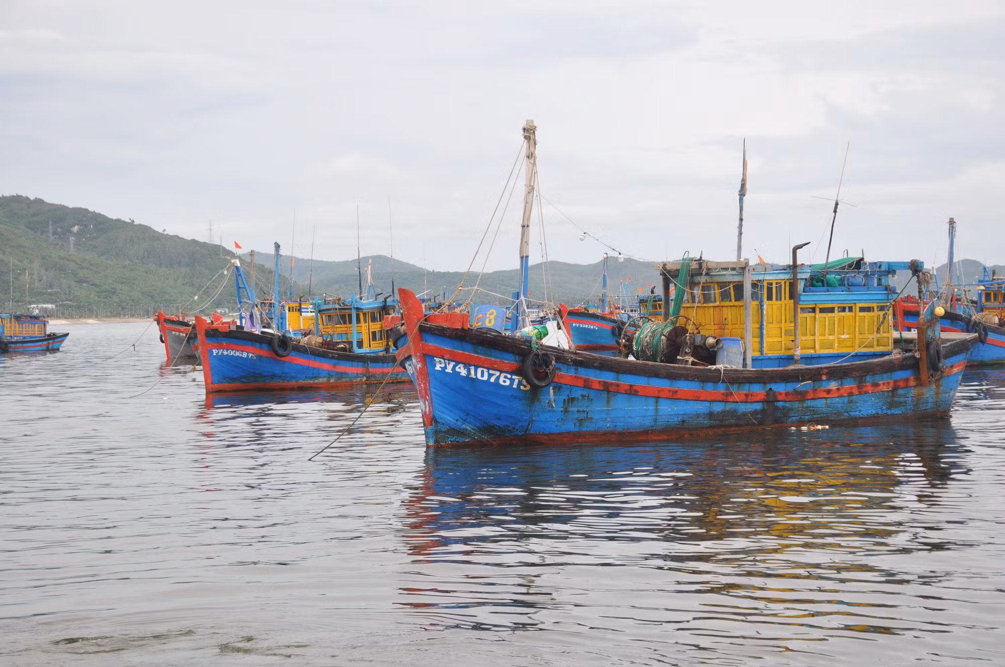 Không khai báo đầy đủ khi vào cảng cá, ba chủ tàu cá bị xử phạt 10,5 triệu đồng -0