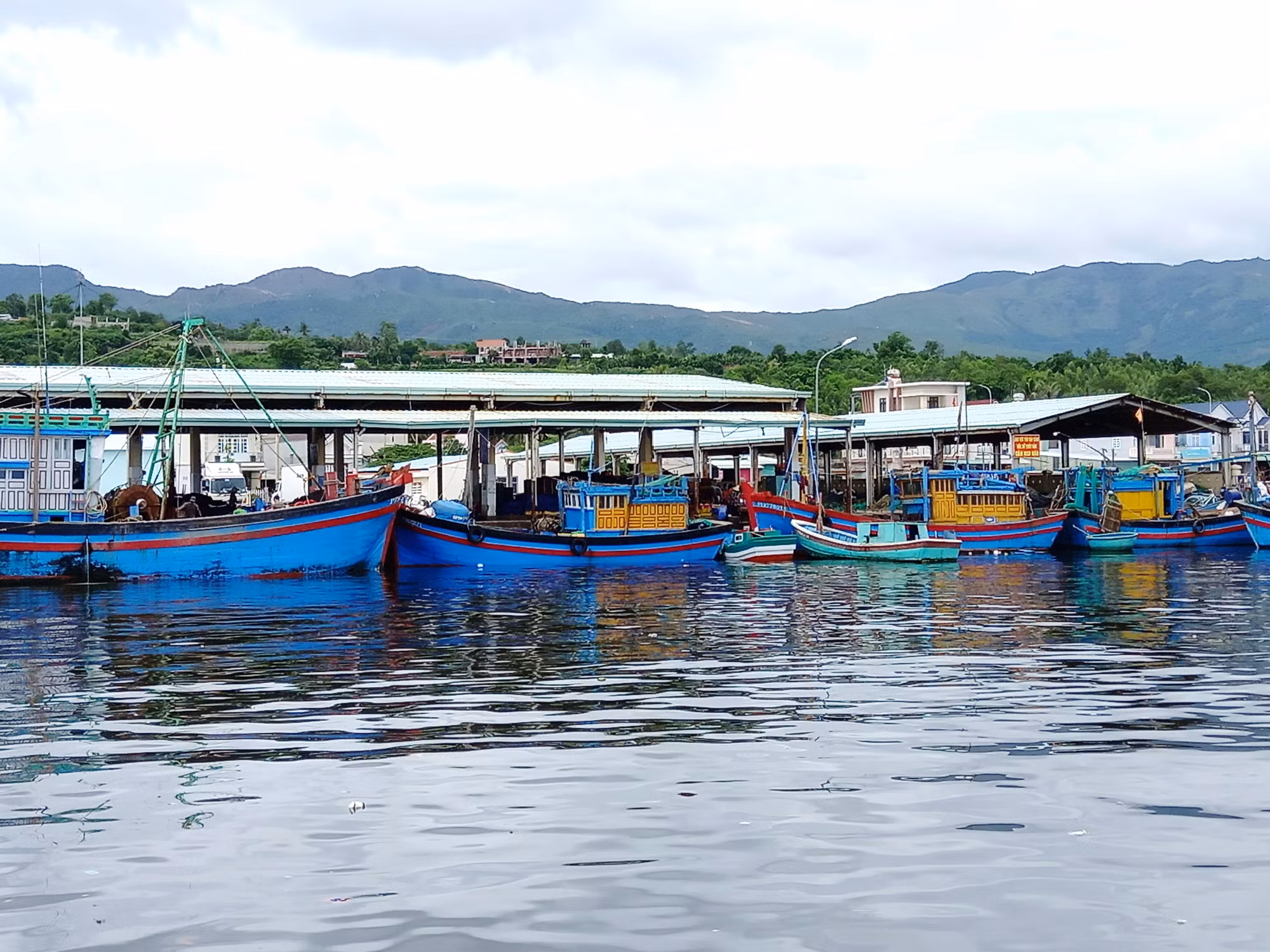 Không khai báo đầy đủ khi vào cảng cá, ba chủ tàu cá bị xử phạt 10,5 triệu đồng -0