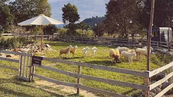 Buộc tháo dỡ công trình ngăn dòng, “bê tông hóa” suối Lương để làm du lịch