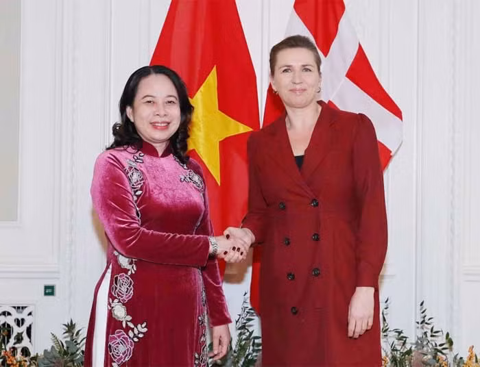 Phó Chủ tịch nước hội đàm với Thủ tướng Đan Mạch Mette Frederiksen -0