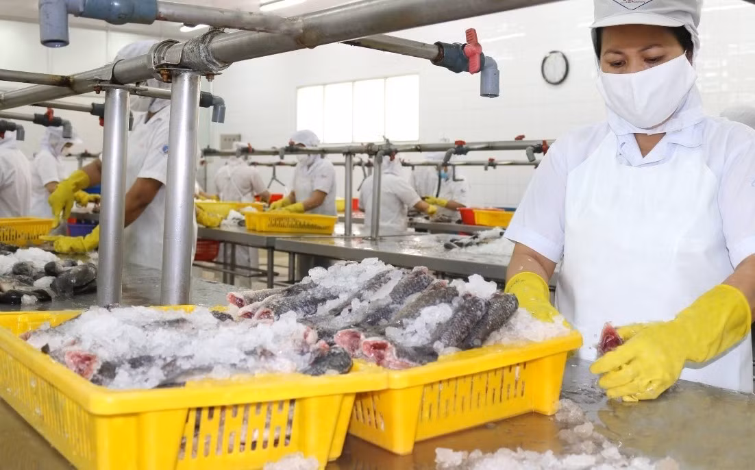 Dư địa lớn cho ngành xuất khẩu thủy sản tại thị trường Trung Quốc -0