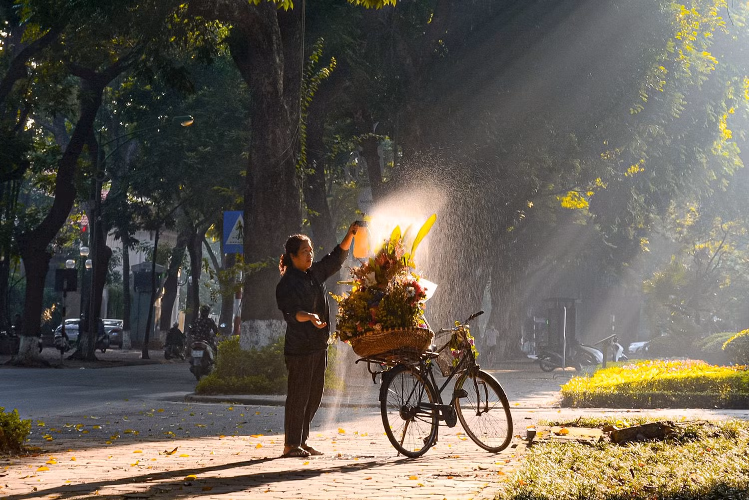 Miền Bắc và Trung Bộ trời nắng, bức xạ tia cực tím mức cao -0