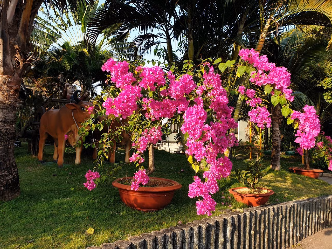 Sao Mai Resort Vũng Tàu tinh hoa, xứng tầm vị thế -0