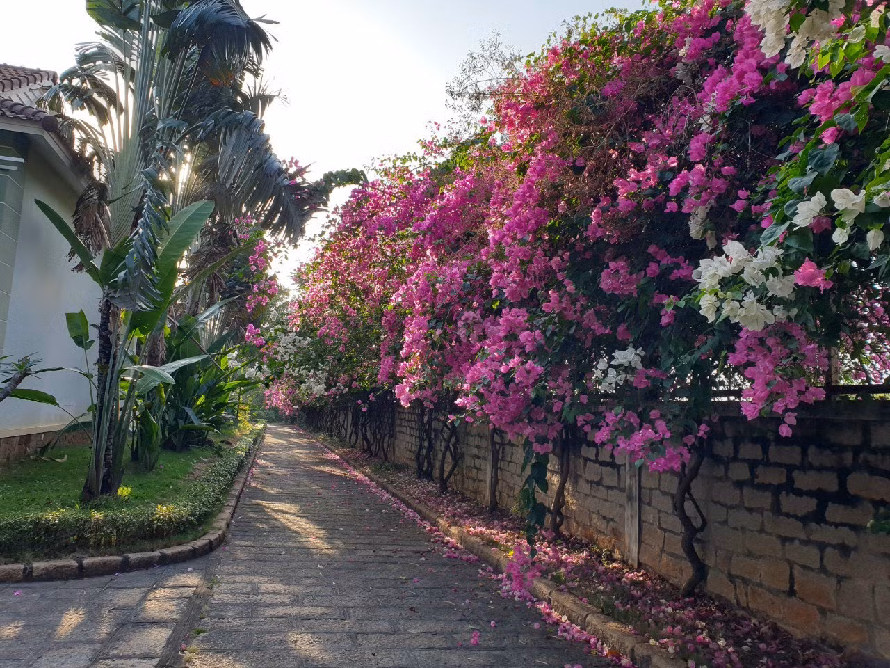 Sao Mai Resort Vũng Tàu tinh hoa, xứng tầm vị thế -0