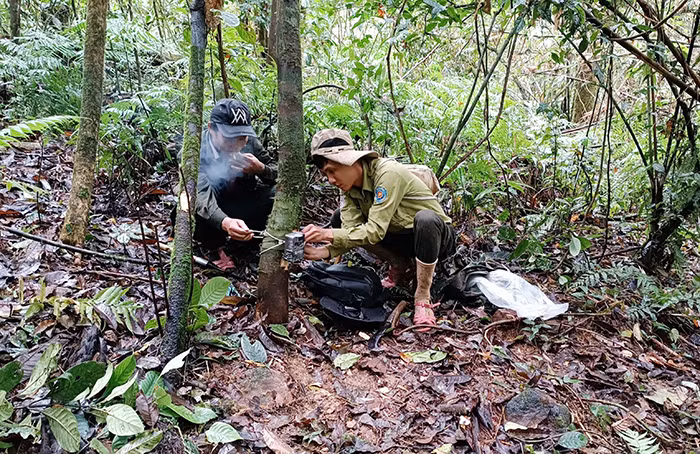 Theo bước chân những người giữ rừng -0