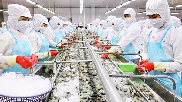 Giải bài toán tín dụng để hỗ trợ doanh nghiệp tận dụng hiệu quả FTA