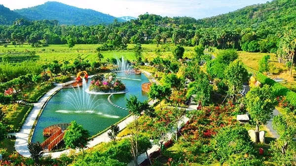 Nhiều người “kháo nhau” đến Khu tham quan điện mặt trời An Hảo “săn” ảnh đẹp