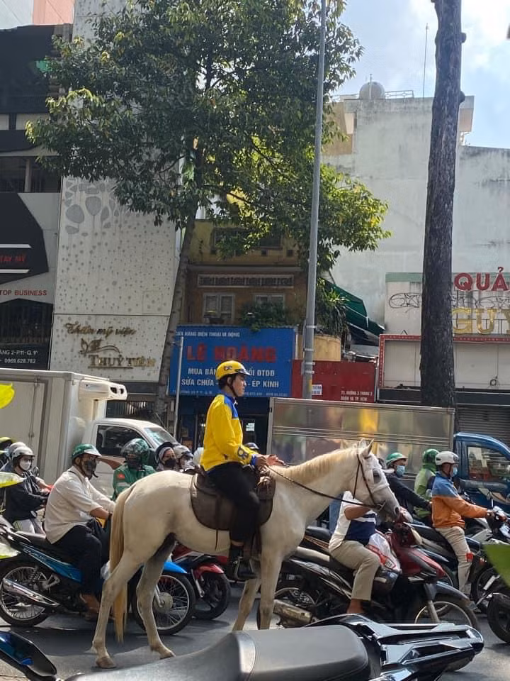 Bị xử phạt hành chính vì…cởi ngựa nghênh ngang trên phố -0