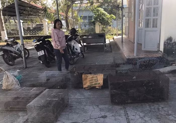 Phát hiện vụ mua bán, tàng trữ trái phép động vật hoang dã quy mô lớn -0