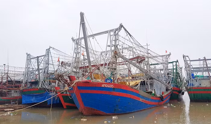 Hàng trăm tàu cá nằm bờ do thiếu thuyền viên -0