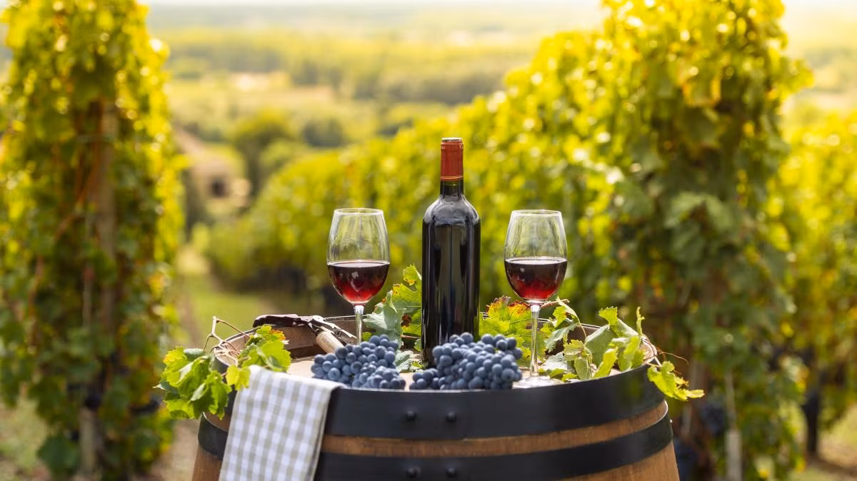 Các nhà sản xuất rượu vang ở Bordeaux muốn 