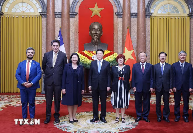 Chủ tịch nước Lương Cường tiếp Đại sứ các nước trình Thư ủy nhiệm -0