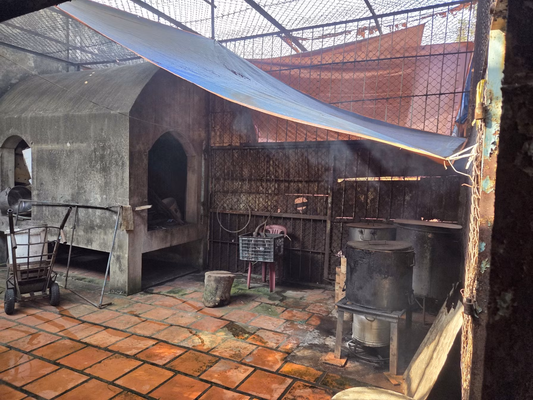 Phát hiện một cơ sở nuôi nhốt nhiều động vật hoang dã ở TP Hồ Chí Minh -2