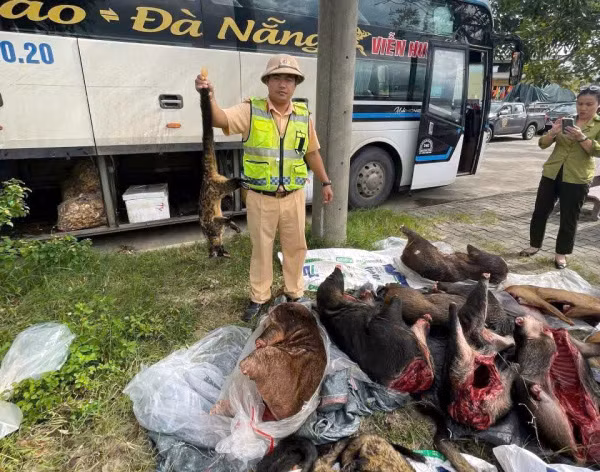 Xe khách vận chuyển lượng lớn nghi thịt động vật hoang dã quý hiếm -0