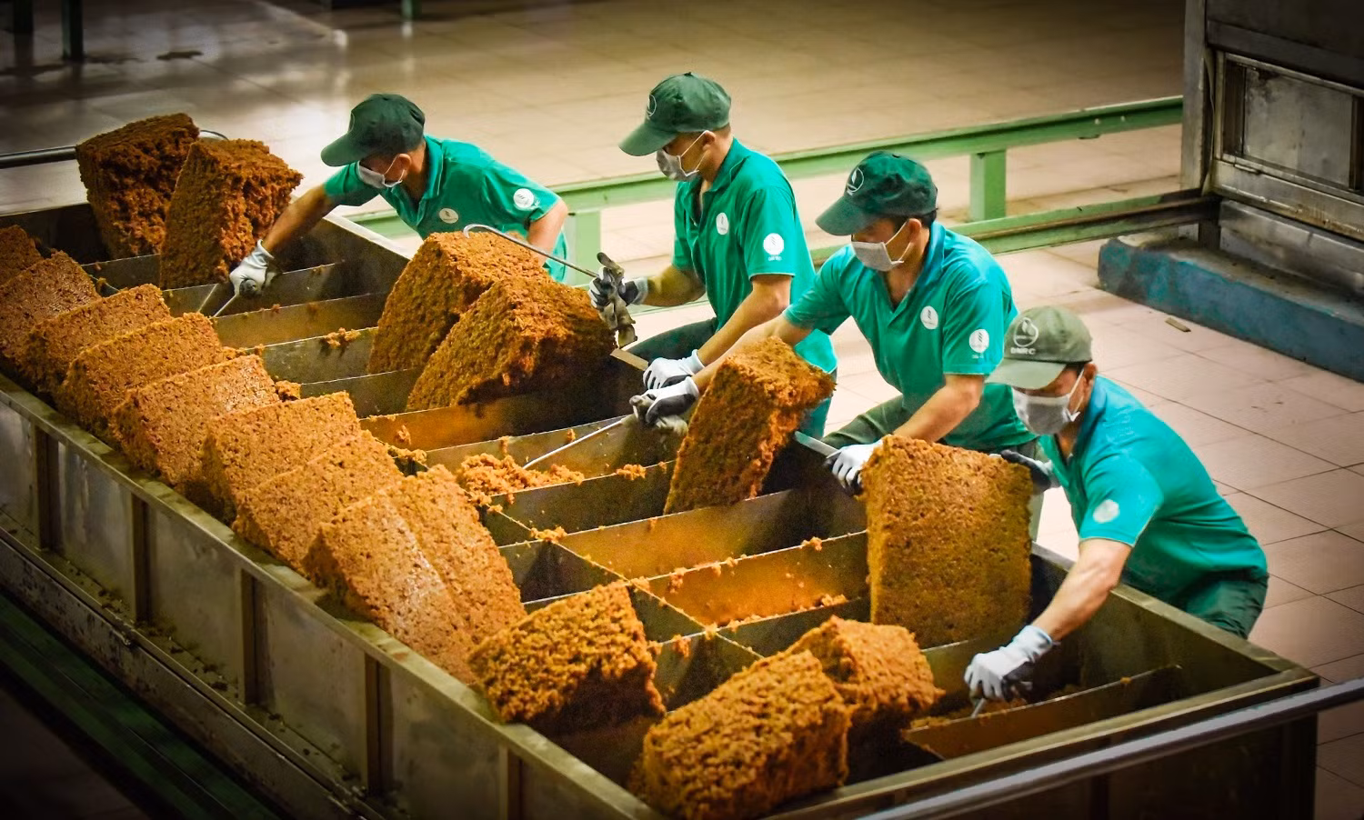 Tập đoàn Công nghiệp Cao su Việt Nam thông báo tuyển dụng -0
