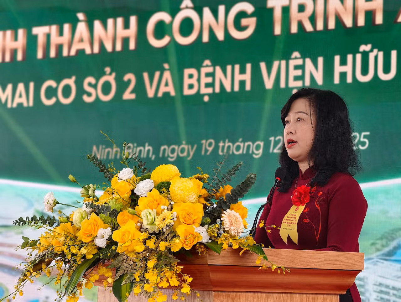 Khánh thành Bệnh viện Bạch Mai và Việt Đức cơ sở 2, kỳ vọng giảm quá tải -0