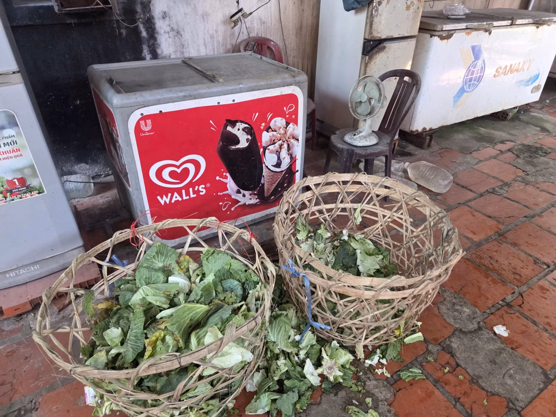 Phát hiện một cơ sở nuôi nhốt nhiều động vật hoang dã ở TP Hồ Chí Minh -4