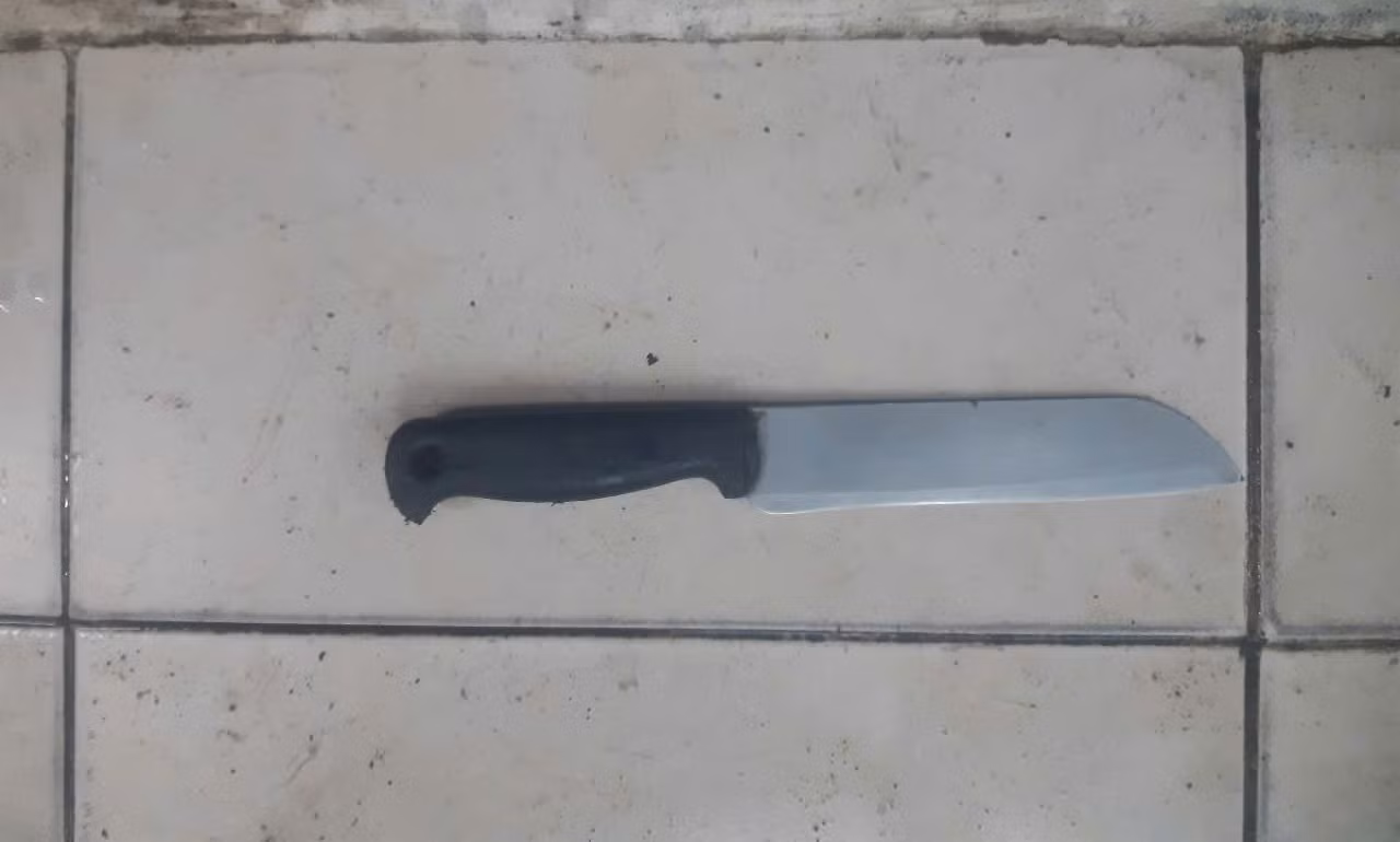 Bắt giữ hai đối tượng dùng dao khống chế người phụ nữ cướp tài sản giữa đêm khuya -1
