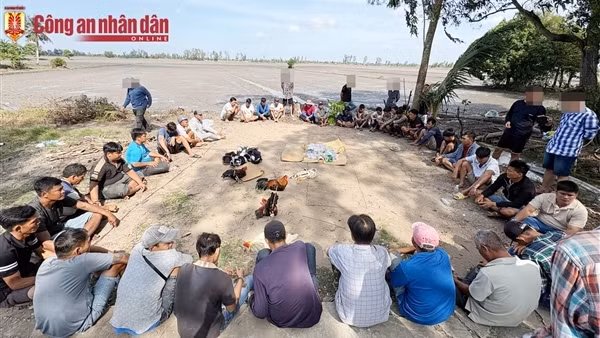 Triệt phá trường gà, tạm giữ 23 đối tượng